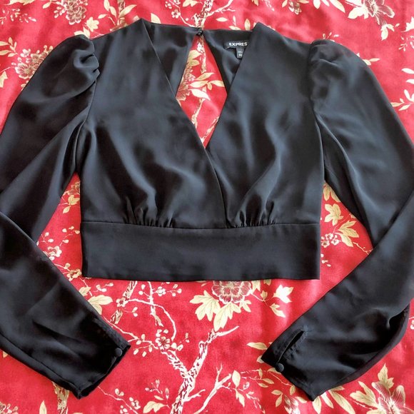 Stunning Express Puff-Shoulder V-Front Open-Back Long-Sleeve Crop Blouse XXS - Picture 6 of 16